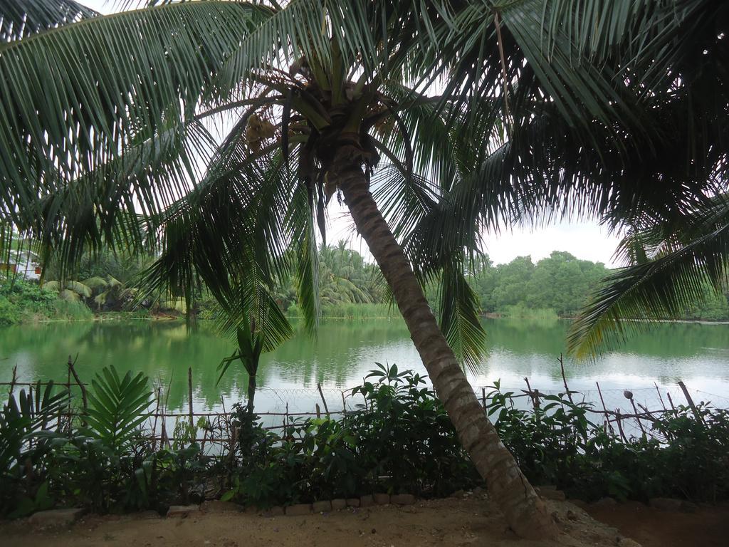 Lake View Cabana Paradise & Villa Tangalle Exterior photo